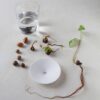 Kweekschaaltje maat L van botanopia. met hazelnoten