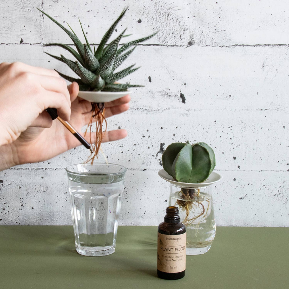 Botanopia organische plantenvoeding in een bruin flesje met pipetje met 2 cactussen op de achtergrond