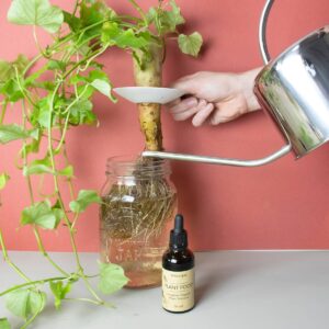 Botanopia organische plantenvoeding in een bruin flesje met pipetje met een gieter en een plant