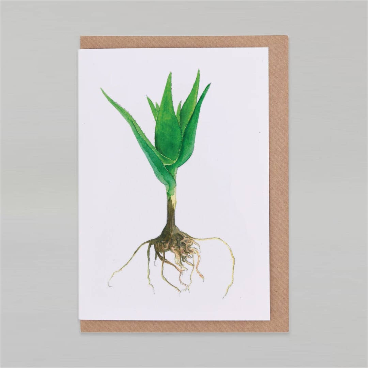 Wenskaart Aloevera productfoto liggend op envelop