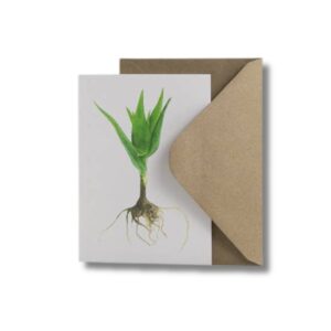 Wenskaart met een aquarelle van Aloë vera half in een enveloppe