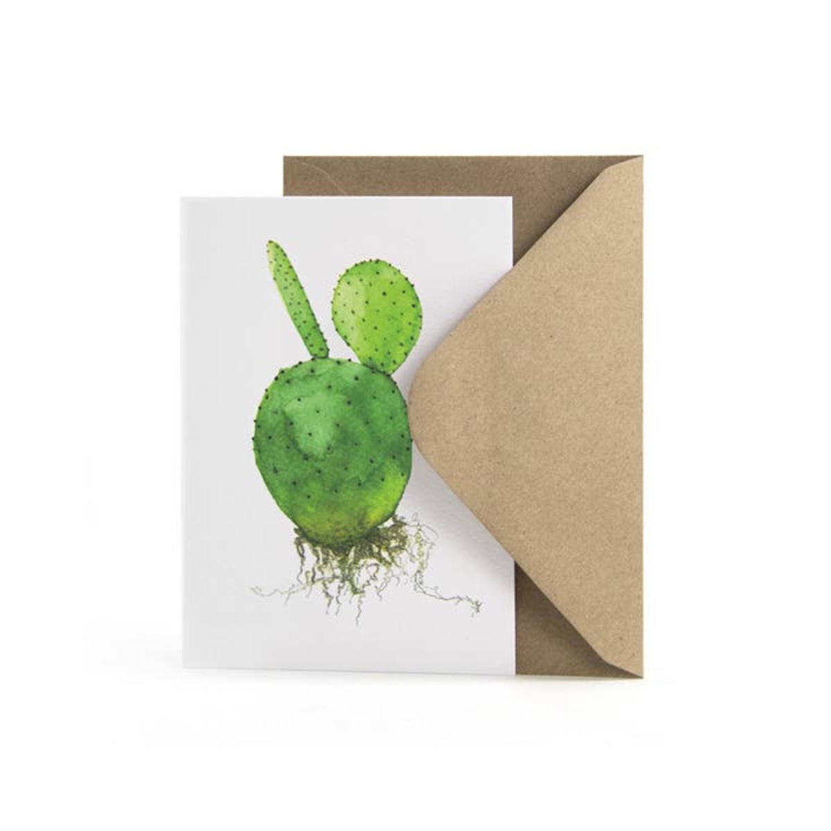 Wenskaart cactus Opuntia half in envelop