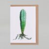 Wenskaart liggend op envelop met een pilosocereus cactus in aquarelle