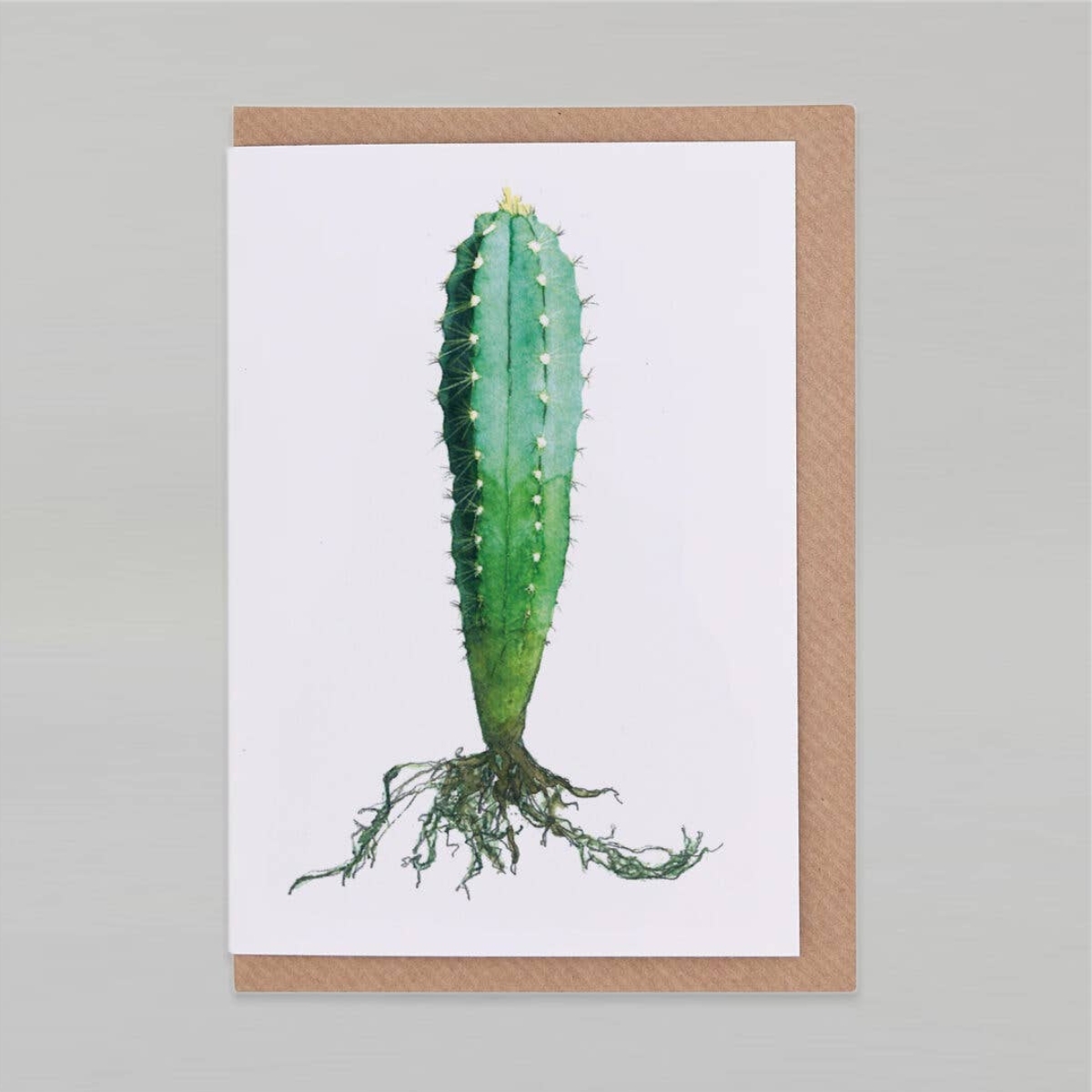 Wenskaart liggend op envelop met een pilosocereus cactus in aquarelle